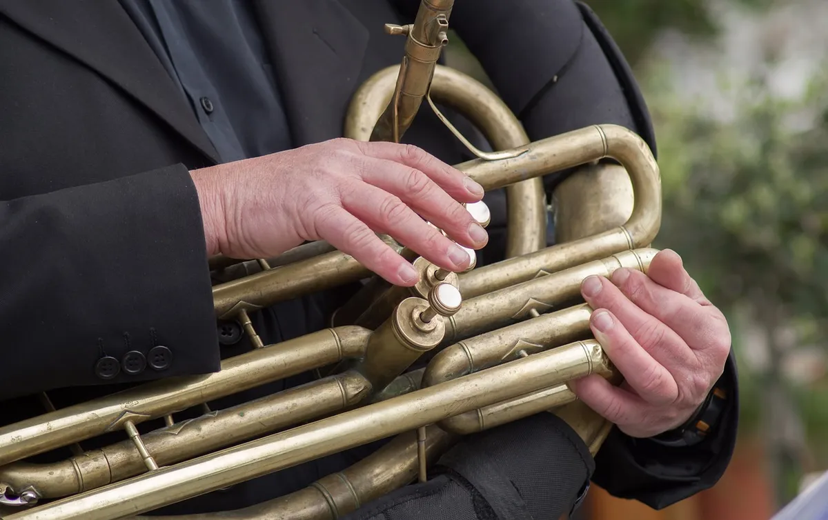 musician, baritone, instrument, music, concert, baritone, baritone, baritone, baritone, baritone