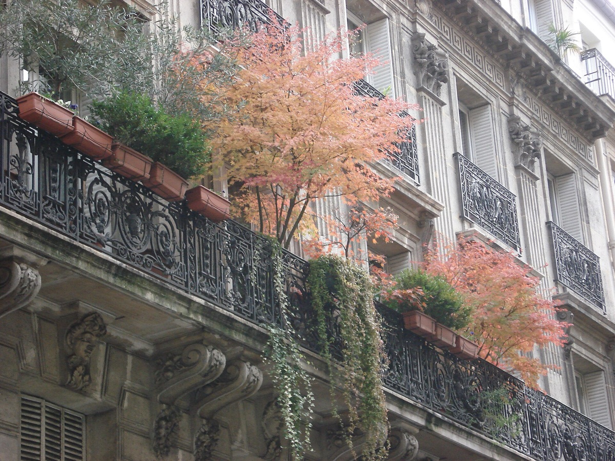 apartamento em parís com vista