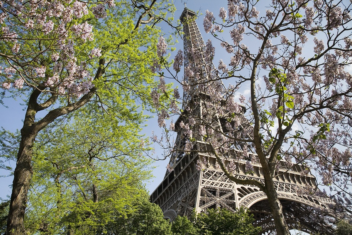 en: Eiffel Tower at night, fr: Tour Eiffel la nuit